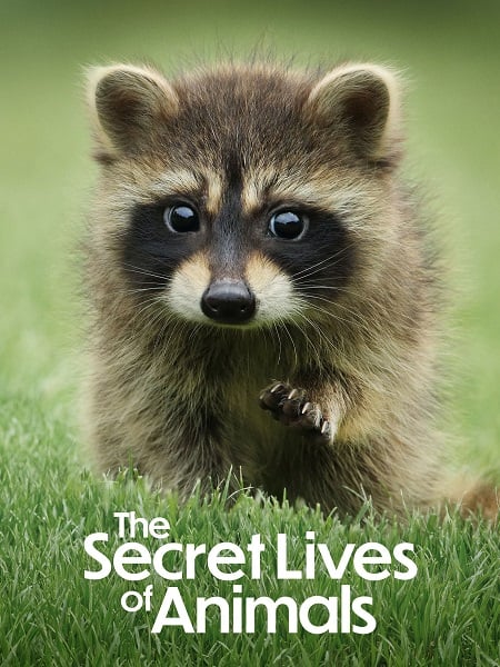 مسلسل The Secret Lives of Animals الحلقة 4 مترجمة